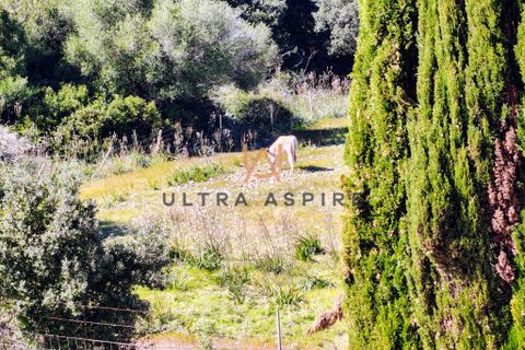 Reihenhaus in Son Servera, Mallorca, Son Servera - € 795.000 | Ref: UA491 - Foto 15